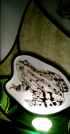 Détail collection Naturalis